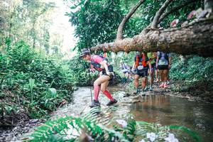 BIB: 
                            <button type="button" onclick="openModal(25454077)" class="btn btn-primary btn-sm float-right btn-popup" data-toggle="modal" data-target=".modal-high-quality">
                        <i class="fas fa-shopping-cart"></i> Add to Cart
                    </button>
                                            <button type="button" onclick="isThisMe(25454077, true)" class="btn btn-success btn-sm float-right btn-popup btn-isme hidden" data-toggle="tooltip" data-placement="bottom" title="นี่คือรูปของคุณใช่ไหม คลิกที่นี่เพื่อเอาเข้าอัลบั้ม">
                        <i class="fas fa-plus"></i> Add to album
                    </button>
                    <button type="button" onclick="isThisMe(25454077, false)" class="btn btn-warning btn-sm float-right btn-popup btn-isnotme hidden">
                        <i class="fas fa-ban"></i> Remove from album
                    </button>